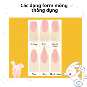 Nhập sỉ nailbox nên chọn những form móng nào