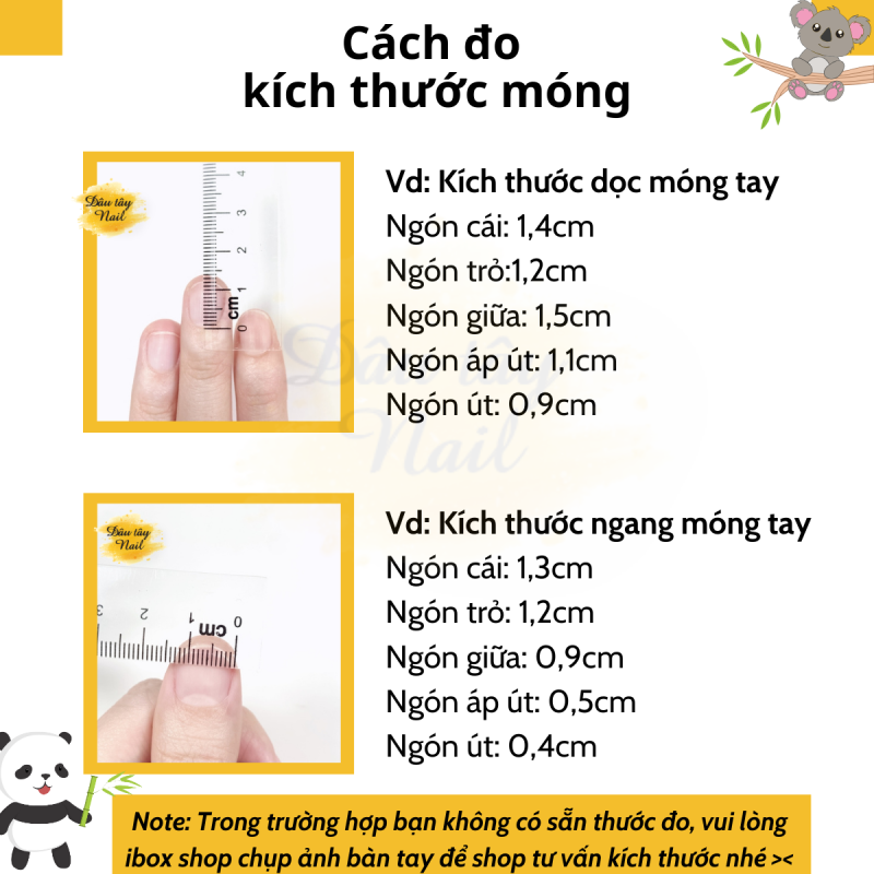 Cách đo Nailbox, Nailbox Bán Chạy Ở Mỹ, Cách Đeo Nailbox